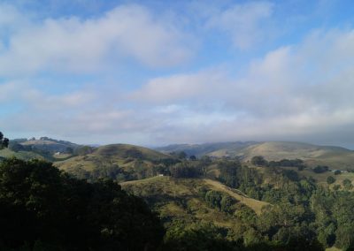 38 2016 Great Ocean Road