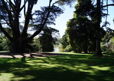 5 2016 Melbourne Royal Botanic Gardens 1