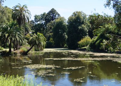 6 2016 Melbourne Royal Botanic Gardens 2