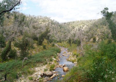 63 2016 Grampians National Park