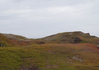 75 2016 Phillip Island