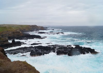 77 2016 Phillip Island