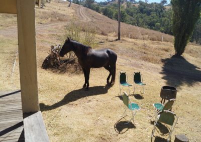 114 2016 Leconfield - Pinkys Gaeste an Veranda