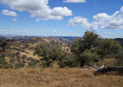 128 2016 Leconfield - Aussicht