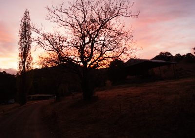 130 2016 Leconfield - Sonnenuntergang