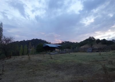 132 2016 Leconfield - Sonnenuntergang