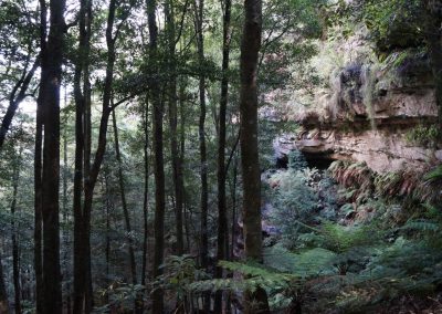 150 2016 Blue Mountains
