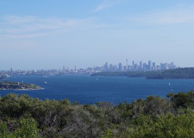 161 2016 Manly