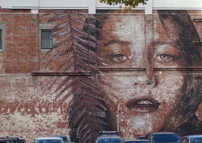 171 2016 Christchurch - Strassenkunst