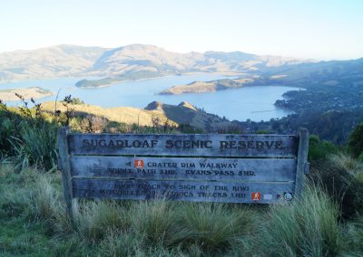 178 2016 Christchurch - Sign of the Kiwi