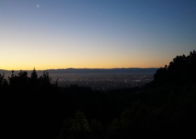 181 2016 Christchurch - Sign of the Kiwi