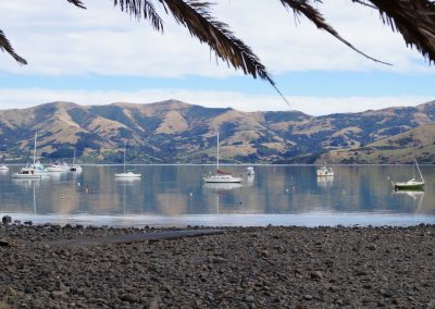 182 2016 Akaroa