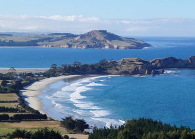 201 2016 bei Dunedin