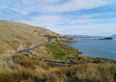 206 2016 Otago Peninsula