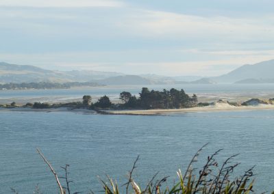 210 2016 Otago Peninsula