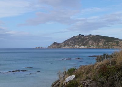 211 2016 Catlins, Nugget Point Leuchtturm