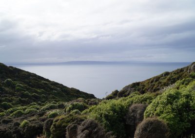 212 2016 Catlins Kueste