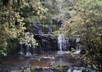 219 2016 Catlins, Purakanui Falls