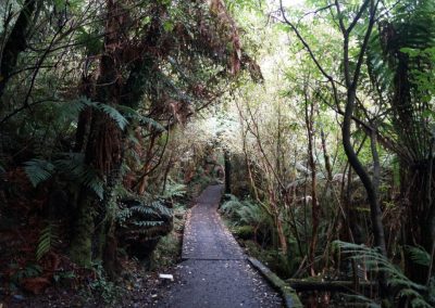 220 2016 Catlins