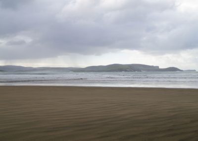 228 2016 Catlins