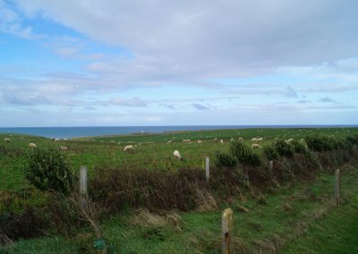 229 2016 Slope Point