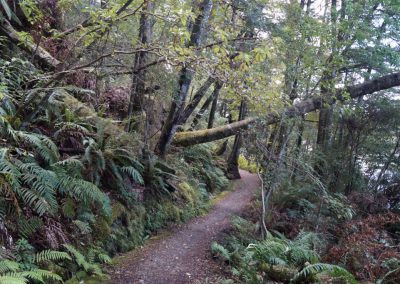 243 2016 Kepler Track - Etappe 1
