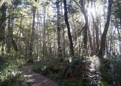 248 2016 Kepler Track - Etappe 1