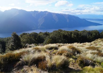 253 2016 Kepler Track - Etappe 1