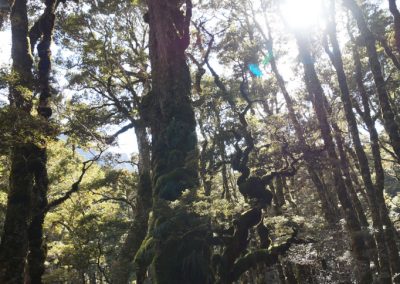 280 2016 Kepler Track - Etappe 2