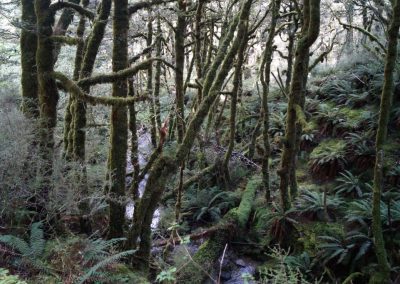 282 2016 Kepler Track - Etappe 2
