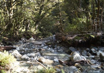 283 2016 Kepler Track - Etappe 2