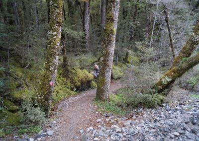 287 2016 Kepler Track - Etappe 3