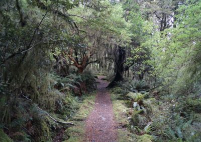 288 2016 Kepler Track - Etappe 3