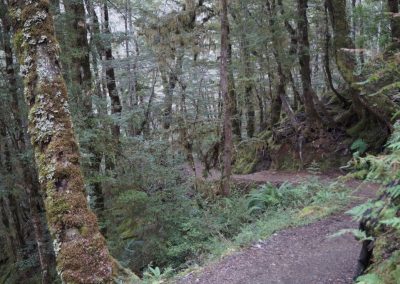 290 2016 Kepler Track - Etappe 3