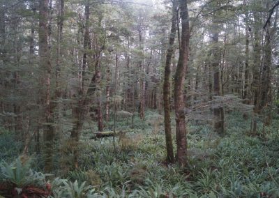 291 2016 Kepler Track - Etappe 3