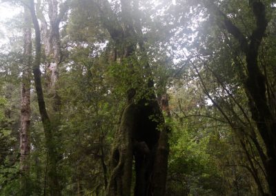 293 2016 Kepler Track - Etappe 3