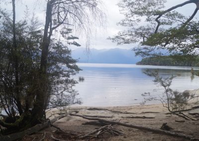 294 2016 Kepler Track - Etappe 3 Lake Manapouri