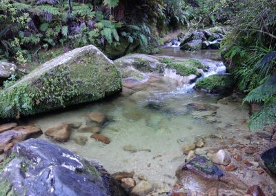 371 2016 Abel Tasman Nationalpark - Cleopatras Pool