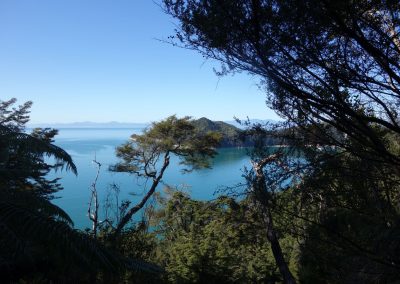 373 2016 Abel Tasman Nationalpark