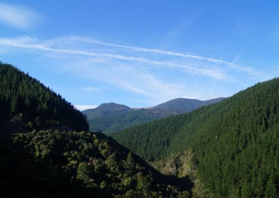 389 2016 Weg nach Picton