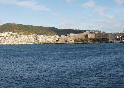 401 2016 Wellington