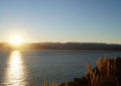 457 2016 Cape Palliser