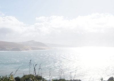 659 2016 Hokianga Harbour