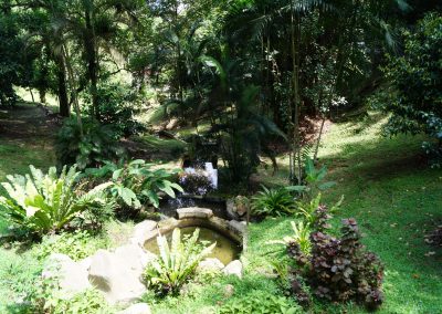 705 2016 Kuala Lumpur - Perdana Botanical Garden