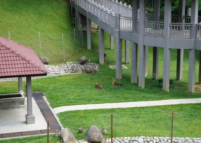 706 2016 Kuala Lumpur - Rehe in Perdana Botanical Garden