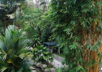 707 2016 Kuala Lumpur - Perdana Botanical Garden