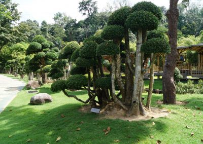710 2016 Kuala Lumpur - Perdana Botanical Garden