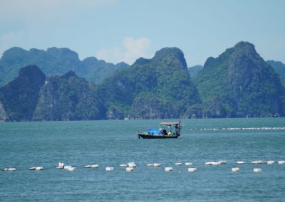 1041 2016 Tour - Bai Tu Long Bay - Fischer vor Austernfarm