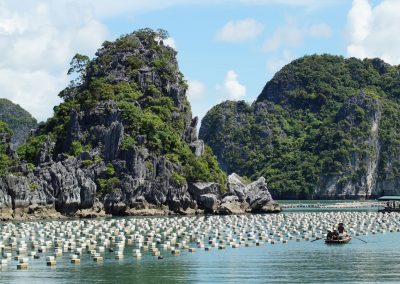 1042 2016 Tour - Bai Tu Long Bay - Austernfarm