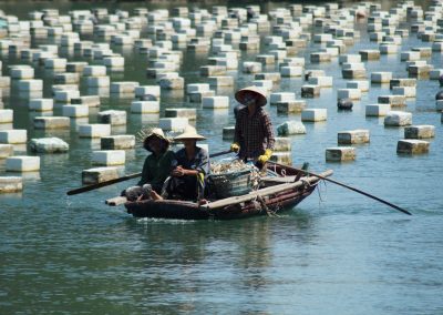 1043 2016 Tour - Bai Tu Long Bay - Fischer